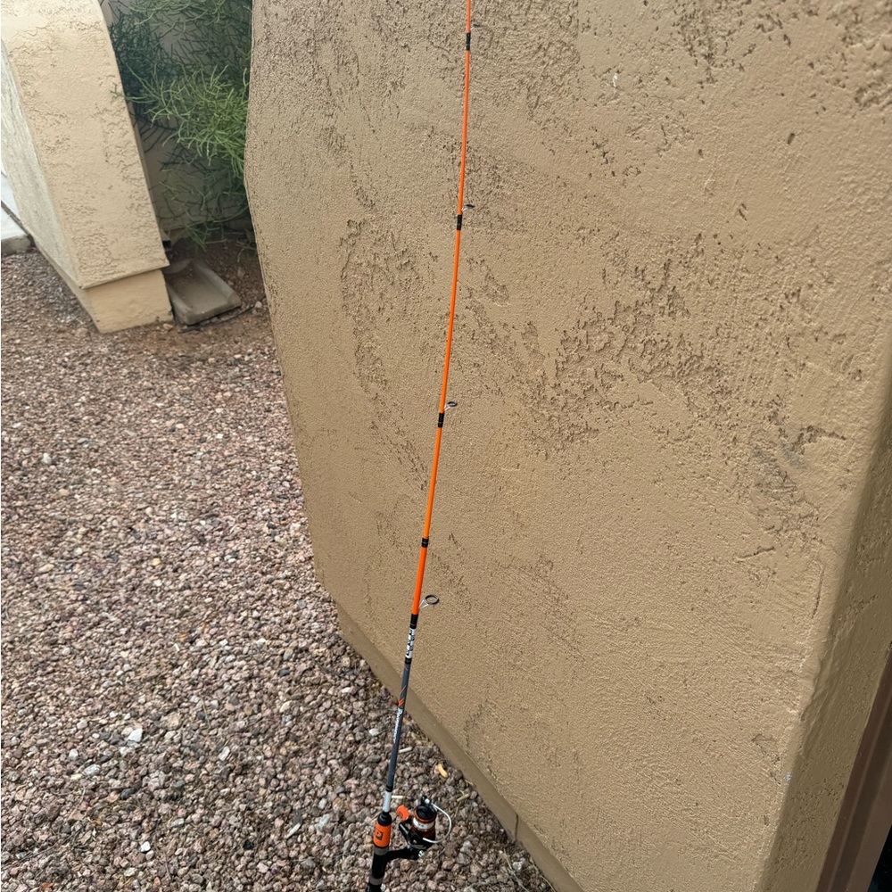 ProFISHiency - Picture 4 of 4